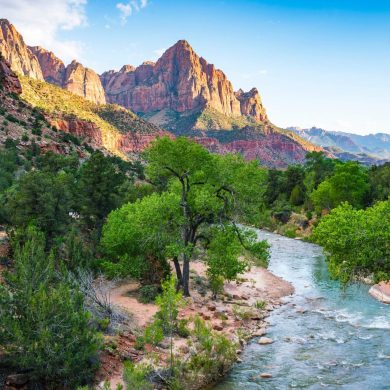 5 Excellent Options for Private Camping Near Zion National Park